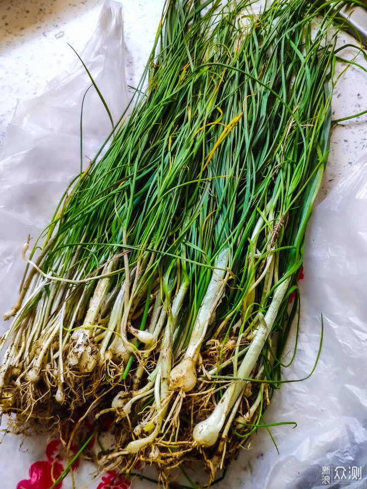 大自然的馈赠——野蒜饼_新浪众测