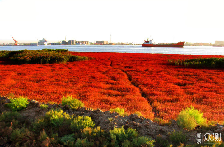 赤如火焰红海滩_新浪众测