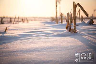 北国处处是雪乡_新浪众测