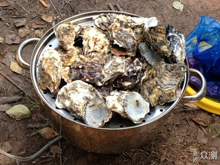 户外海鲜大餐---清蒸牡蛎_新浪众测