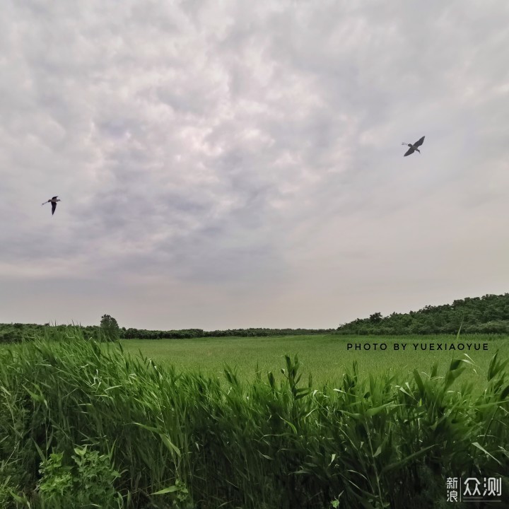 手机如何拍出有“层次”的风景？找对参照物！_新浪众测