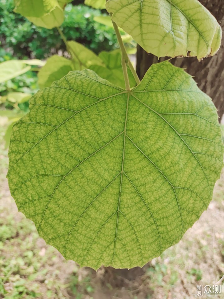 爱好摄影：如何将摄影后期变的更有乐趣_新浪众测