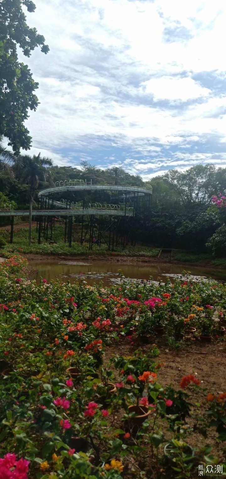 儋州热带植物园风景区图片