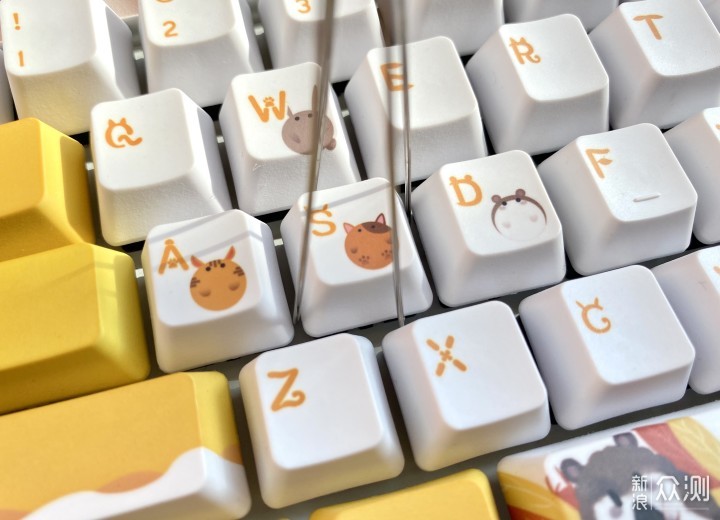 秋天的第一个键盘，毛茸茸的动物园太萌了_新浪众测