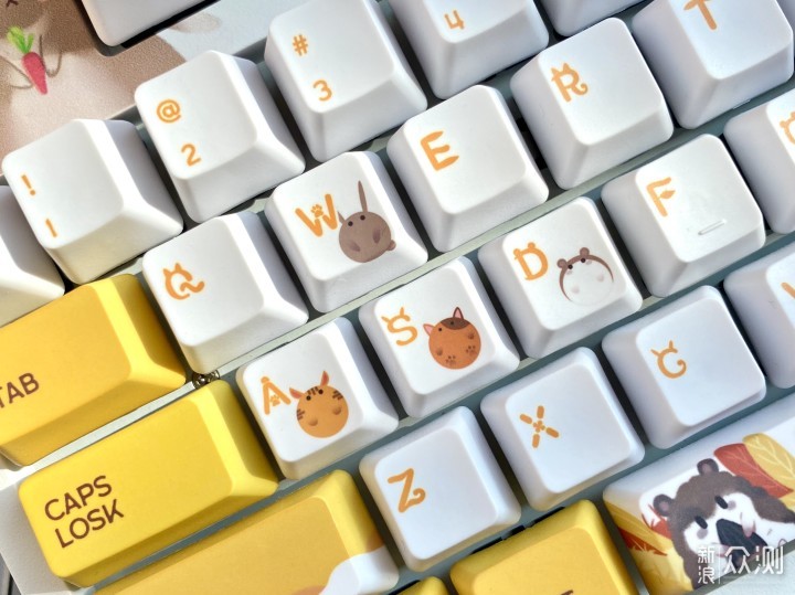 秋天的第一个键盘，毛茸茸的动物园太萌了_新浪众测