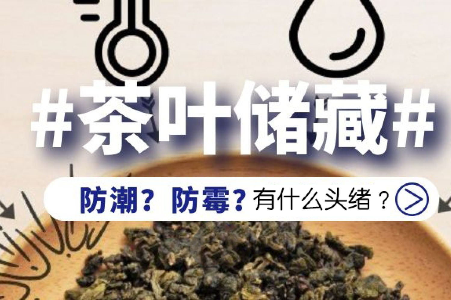 “苦涩的茶就是劣质茶？”为什么会有苦涩味？_新浪众测