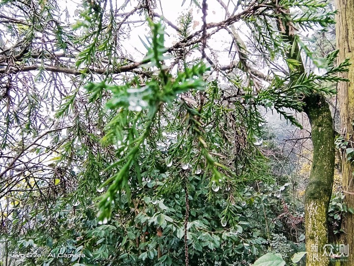 青城天下幽，一路好风景，青城前山游记_新浪众测