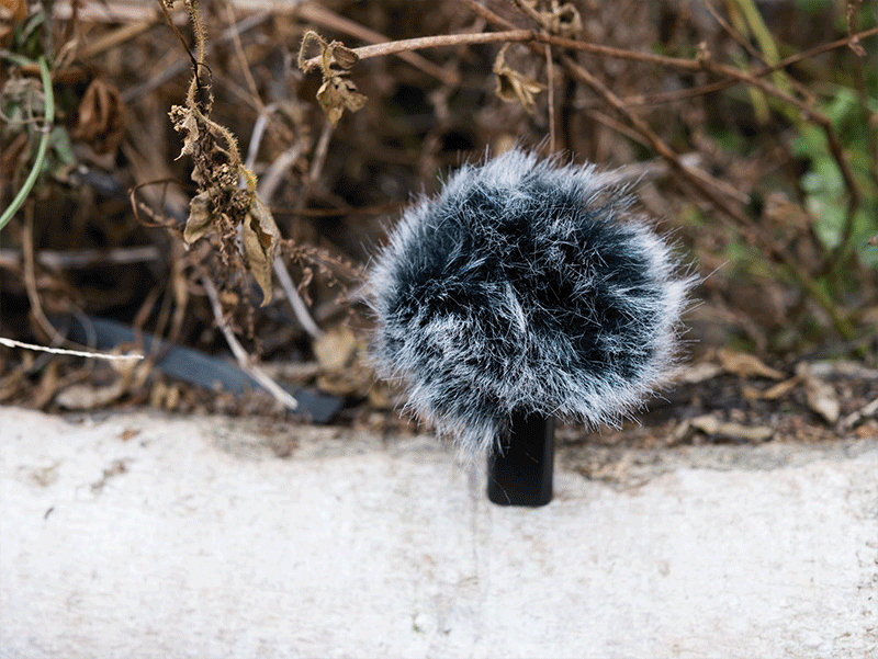 拍视频如何收音 塞宾智麦 超便携无线解决方案_新浪众测