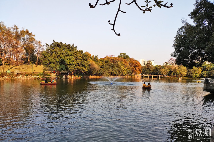 喜迎春节：新春逛公园 春日赏美景 感受颇多！_新浪众测