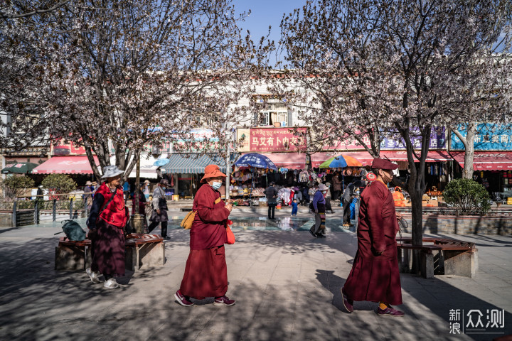 #hello春天# 人文街拍，专属西藏拉萨的春天_新浪众测