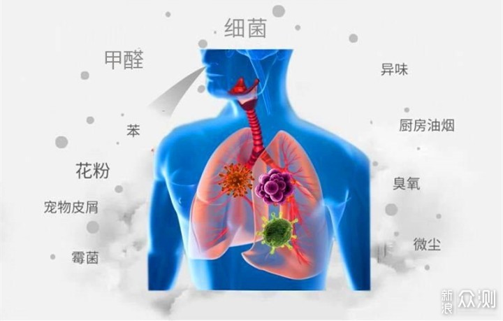 云盾给家中车室带来好空气——云盾空气净化剂_新浪众测