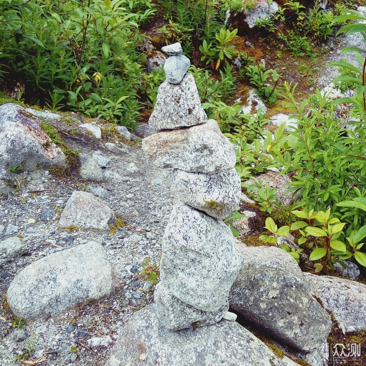 走进海螺沟--冰川森林公园_新浪众测