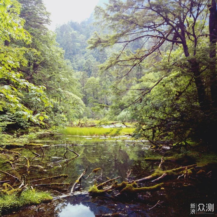 走进海螺沟--冰川森林公园_新浪众测