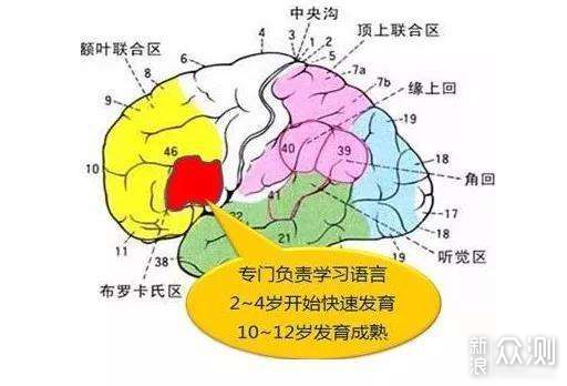 5大方法5种工具，帮你搞定学前英语启蒙_新浪众测