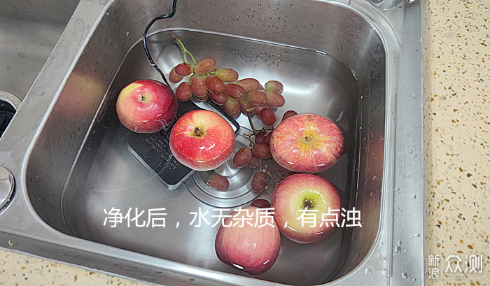 小尼熊果蔬清洗机：专业快速净化食材_新浪众测