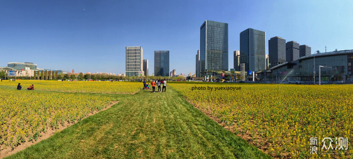 城市偶遇“花海”｜手机3招拍美，拍出层次感_新浪众测