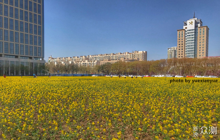 城市偶遇“花海”｜手机3招拍美，拍出层次感_新浪众测