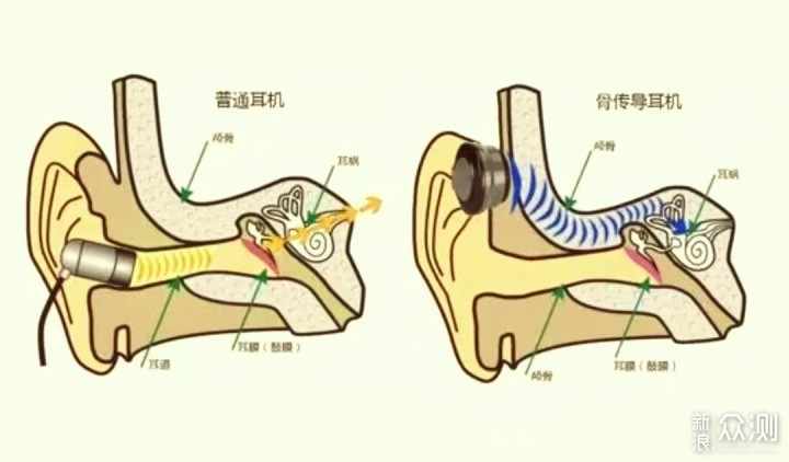 专注热爱，享受运动—用竹林鸟花鼓骨传导耳机_新浪众测