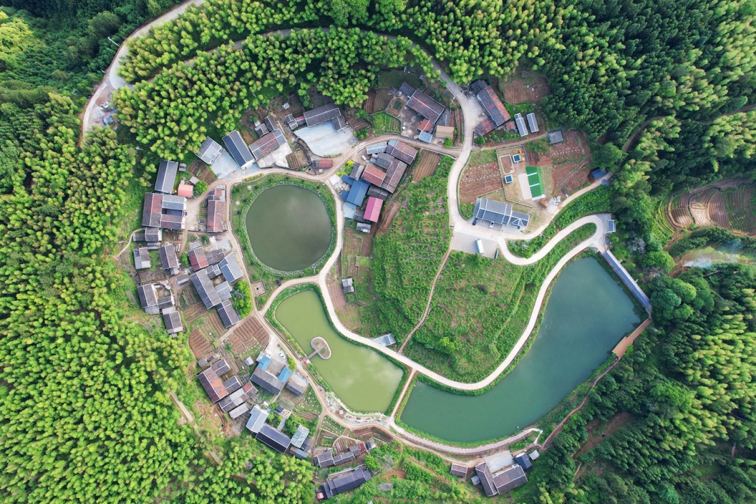 国内观鸟胜地，明溪旅游正当时