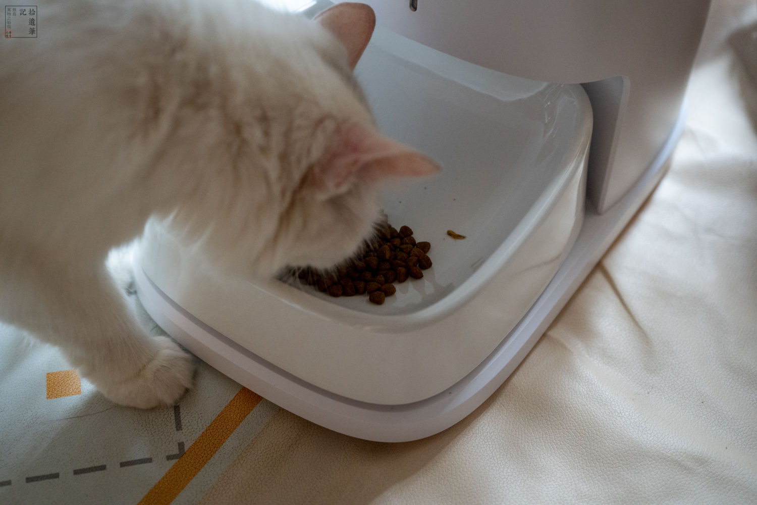 猫咪的专属自助餐厅，定时投喂还能远程看护