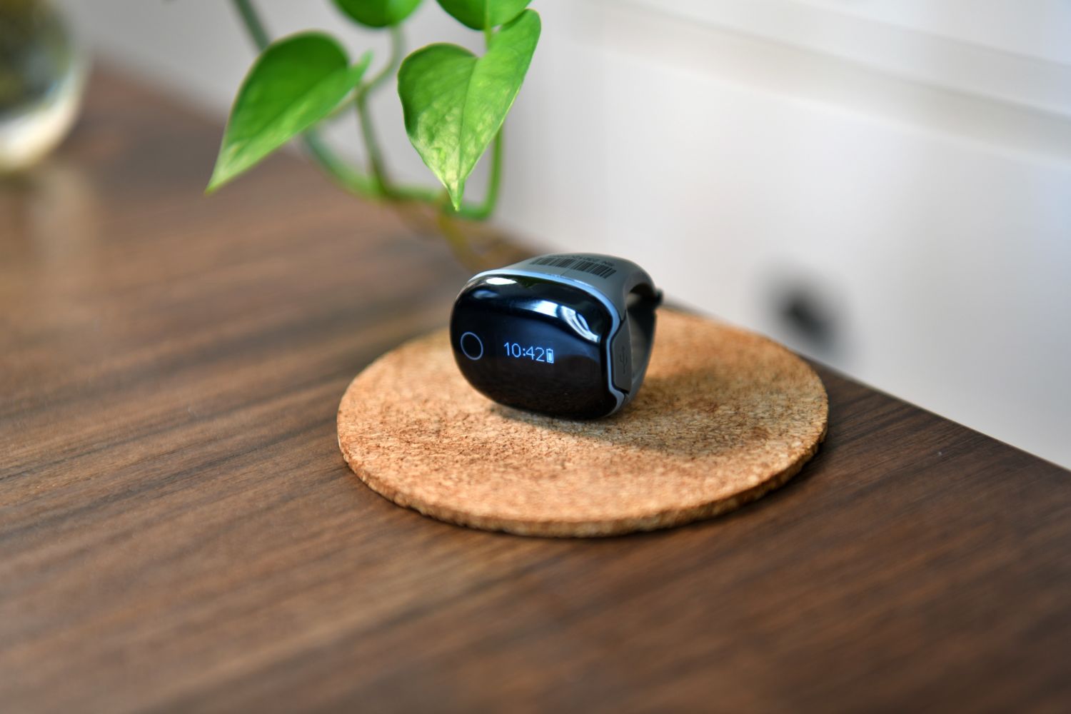 指尖上的实时健康监控：动态智能血氧仪O2Ring
