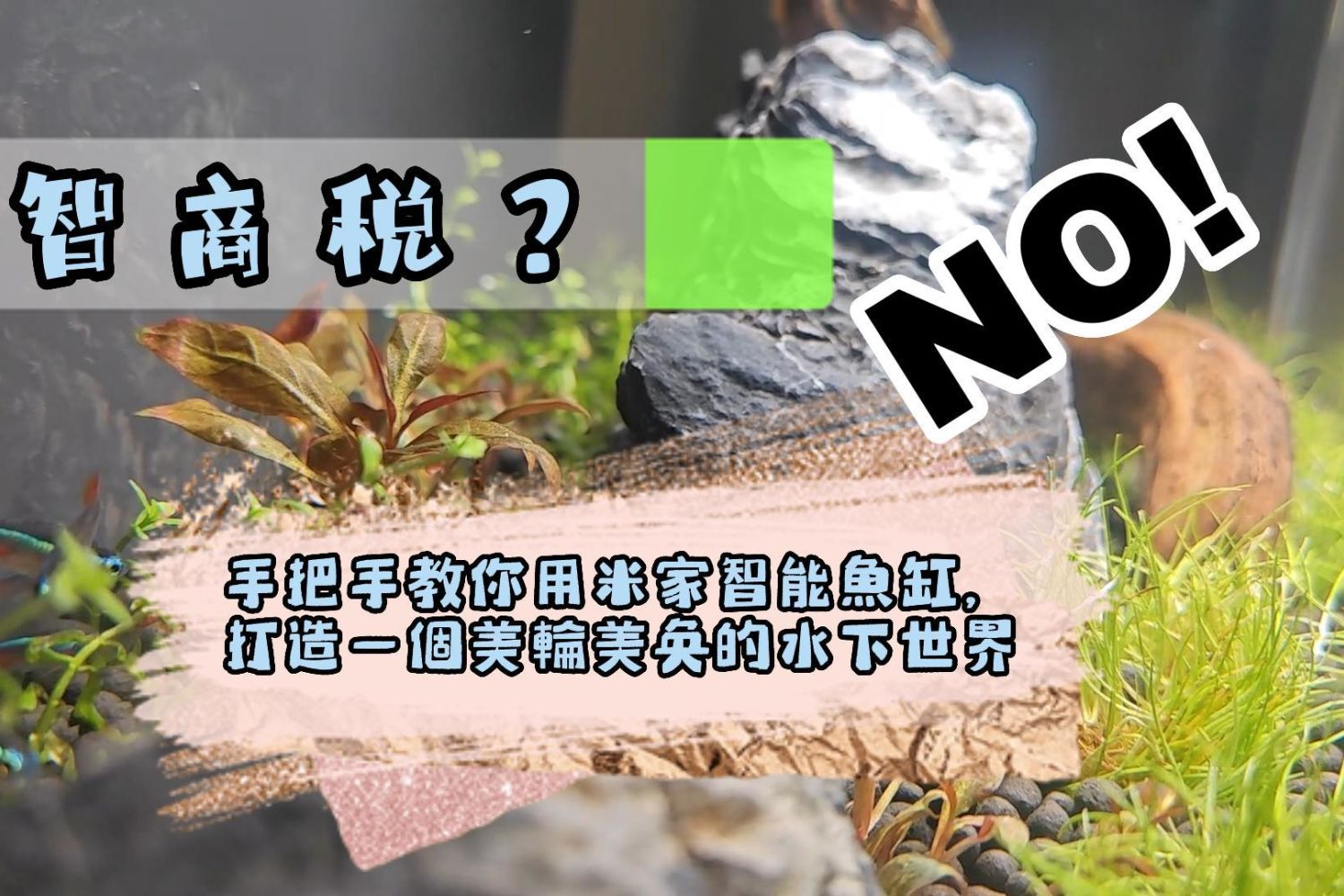 智商税？NO！米家智能鱼缸使用教程