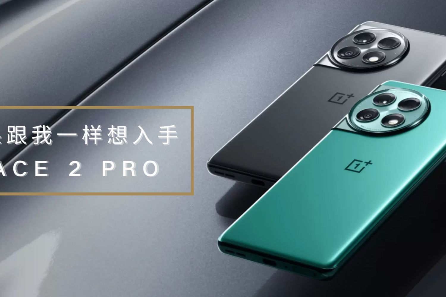 双11如果跟我一样想入手一加 Ace 2 Pro