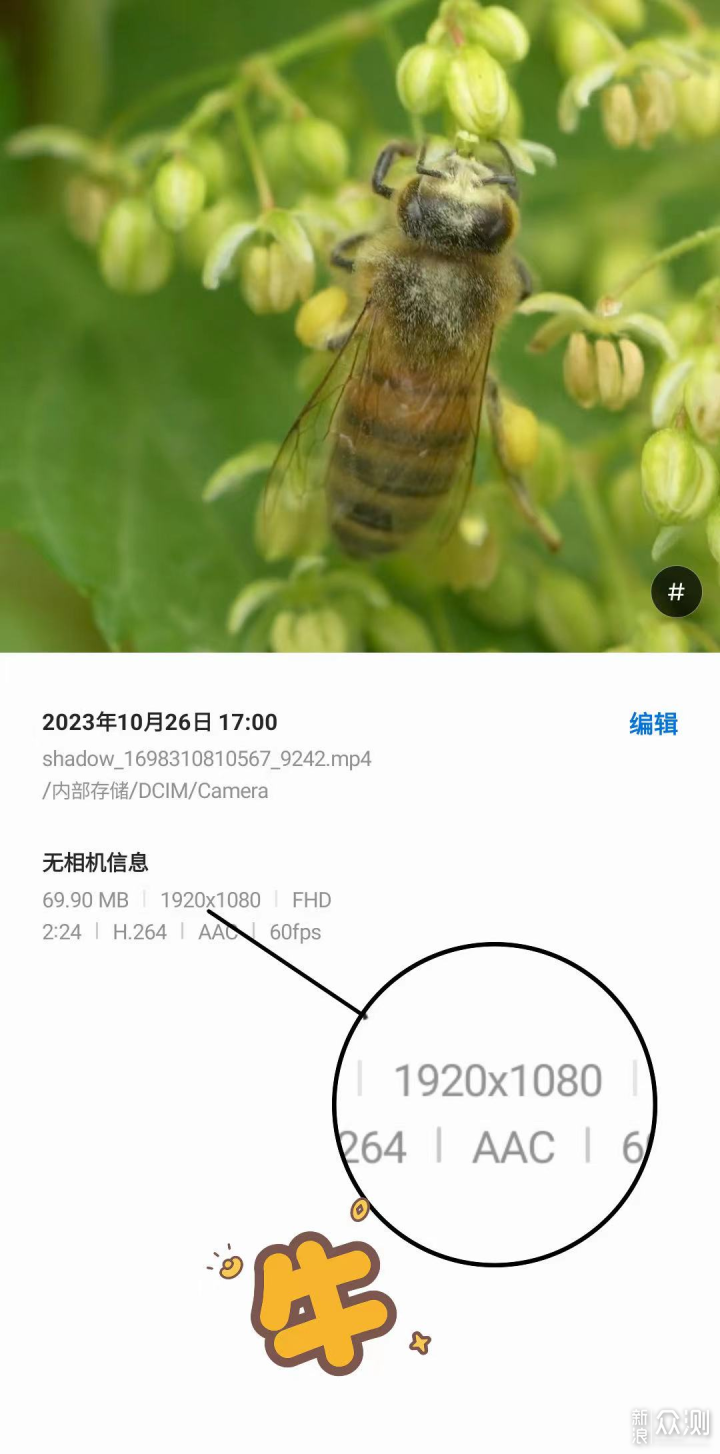 巨好用！Youtube1080p视频保存到手机教程！_新浪众测