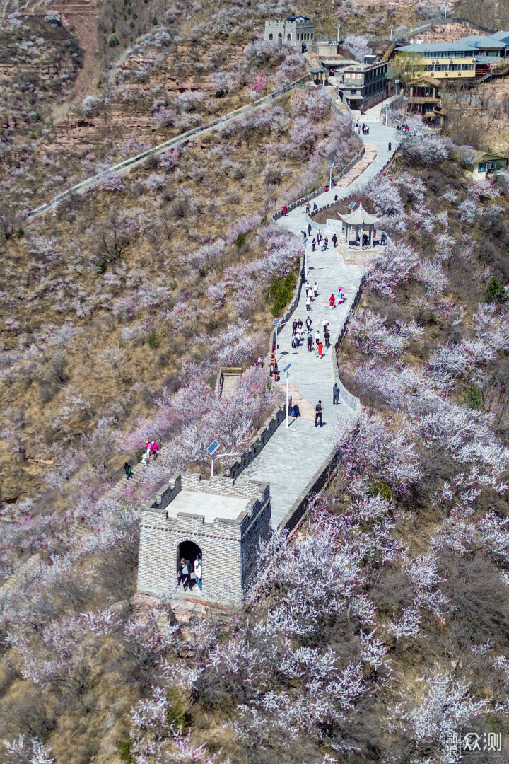 【Vlog】这个四月来九龙峡赏桃花吧_新浪众测