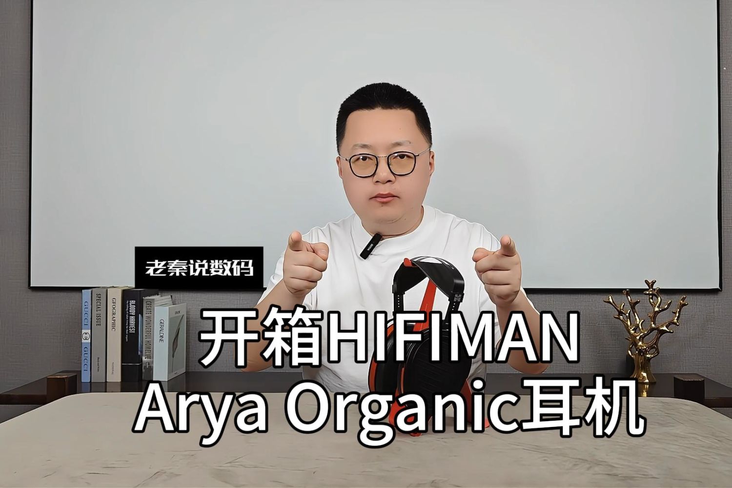 【老秦说数码】开箱HIFIMAN Arya Organic耳机