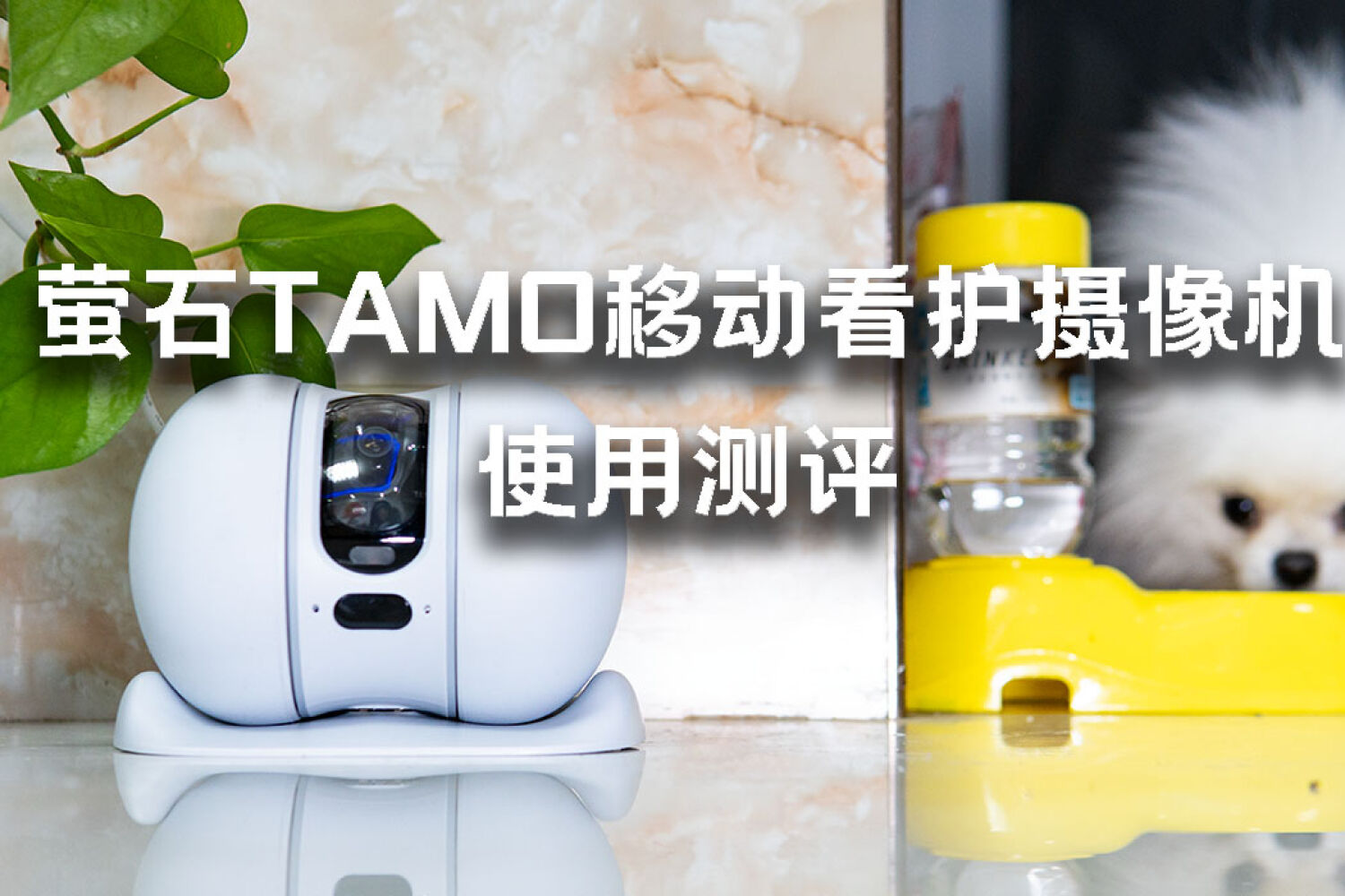 2K高清防抖，自动陪玩萤石TAMO移动看护摄像机